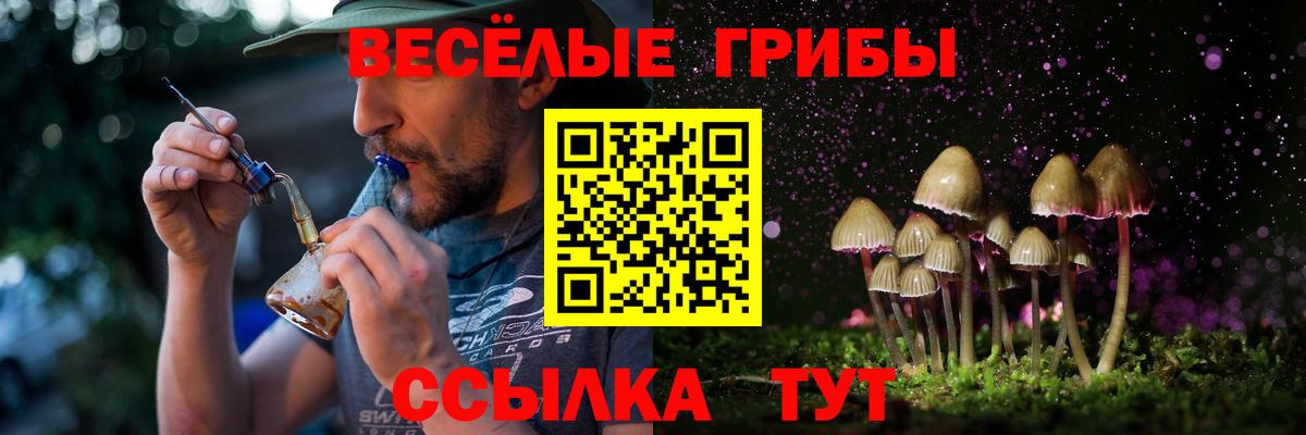 Псилоцибиновые грибы прущие грибы  как найти закладки  Берёзовский  Вход с VPN 
